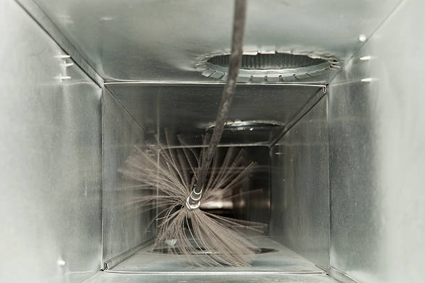 Best Air Duct Mold Removal  in East Merrimack, NH